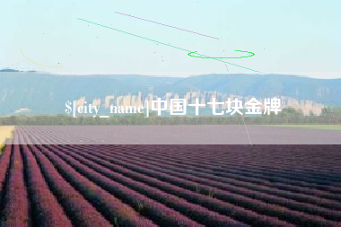 巴音郭楞中国十七块金牌