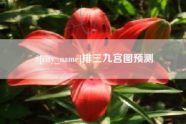 巴音郭楞排三九宫图预测
