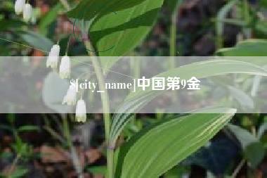 巴音郭楞中国第9金