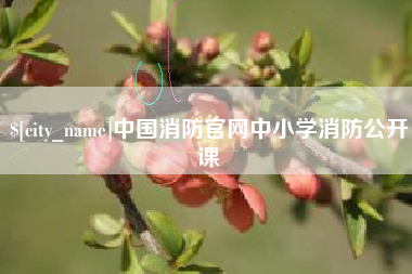 巴音郭楞中国消防官网中小学消防公开课