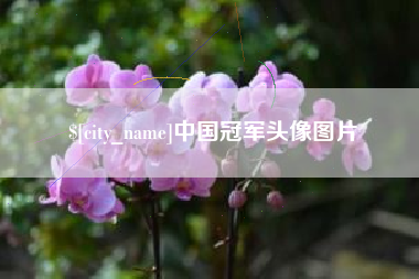 巴音郭楞中国冠军头像图片