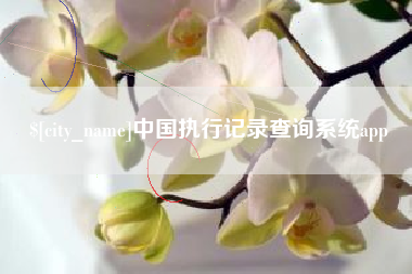 巴音郭楞中国执行记录查询系统app