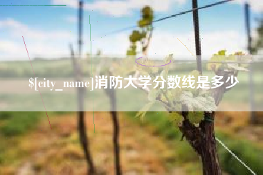 巴音郭楞消防大学分数线是多少