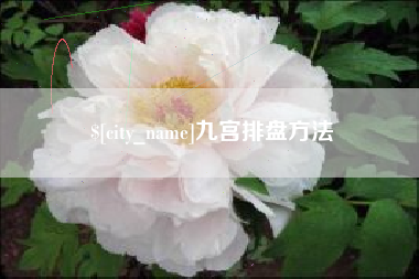 巴音郭楞九宫排盘方法