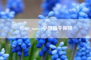 巴音郭楞中国最牛保镖