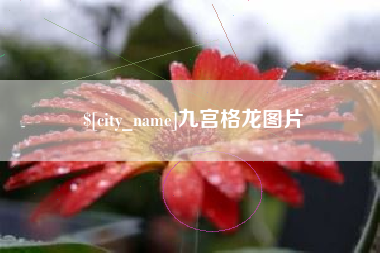 巴音郭楞九宫格龙图片