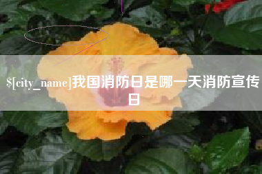 巴音郭楞我国消防日是哪一天消防宣传日