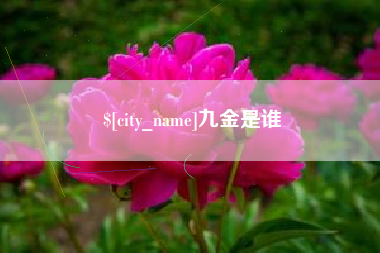 巴音郭楞九金是谁