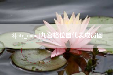 巴音郭楞九宫格位置代表成员图