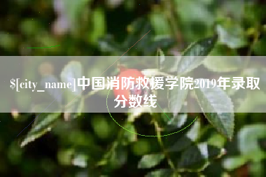 巴音郭楞中国消防救援学院2019年录取分数线