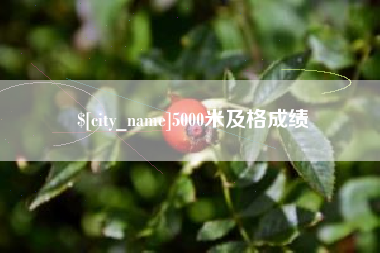 巴音郭楞5000米及格成绩