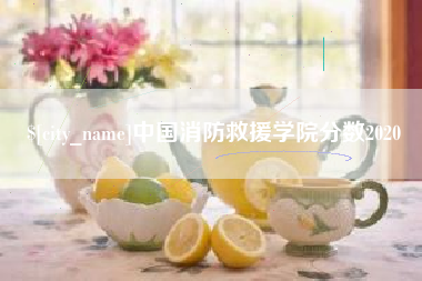 巴音郭楞中国消防救援学院分数2020