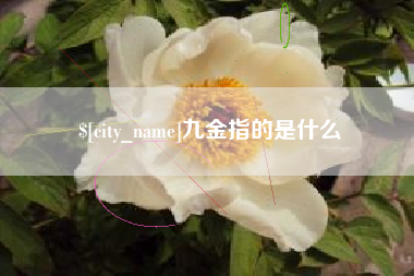 巴音郭楞九金指的是什么