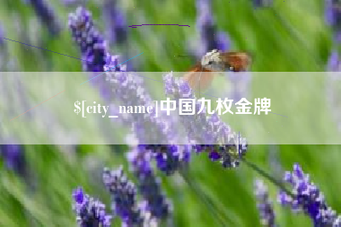 巴音郭楞中国九枚金牌