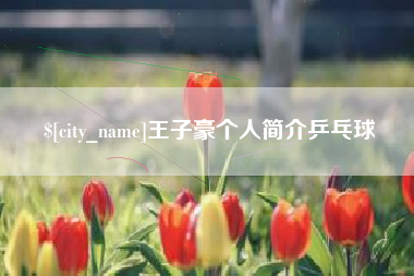 巴音郭楞王子豪个人简介乒乓球