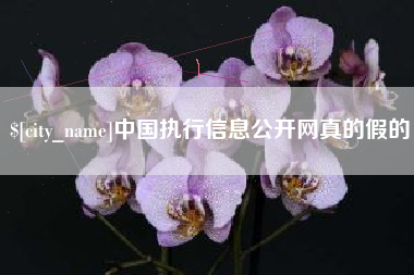 巴音郭楞中国执行信息公开网真的假的