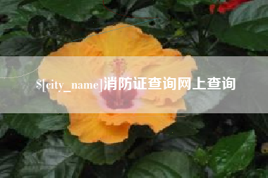 巴音郭楞消防证查询网上查询