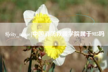 巴音郭楞中国消防救援学院属于985吗