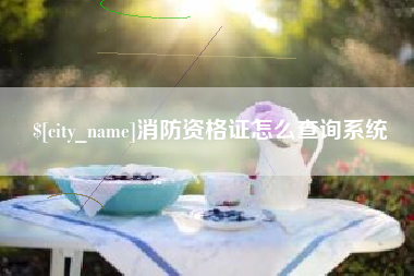 巴音郭楞消防资格证怎么查询系统