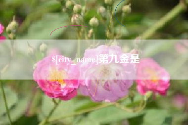 巴音郭楞第九金是