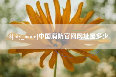 巴音郭楞中国消防官网网址是多少