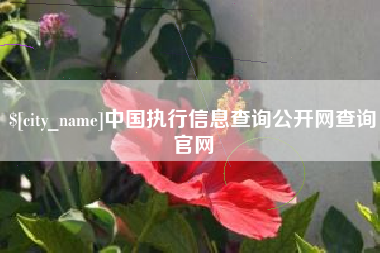 巴音郭楞中国执行信息查询公开网查询官网