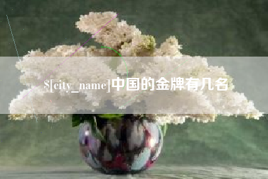 巴音郭楞中国的金牌有几名