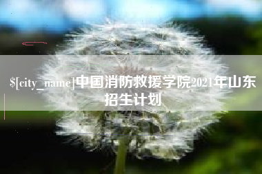 巴音郭楞中国消防救援学院2021年山东招生计划
