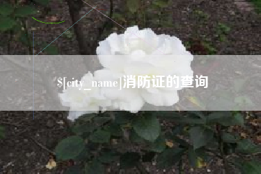 巴音郭楞消防证的查询