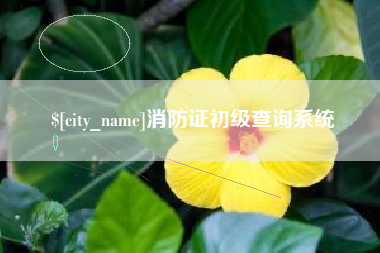 巴音郭楞消防证初级查询系统