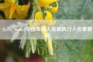 巴音郭楞中国失信人员被执行人名单查询