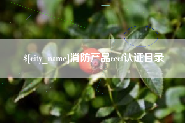 巴音郭楞消防产品cccf认证目录