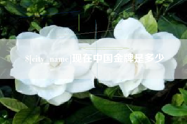 巴音郭楞现在中国金牌是多少