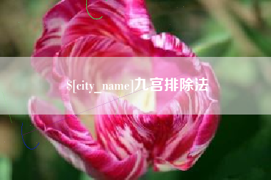 巴音郭楞九宫排除法