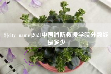 巴音郭楞2021中国消防救援学院分数线是多少