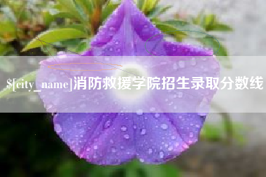 巴音郭楞消防救援学院招生录取分数线