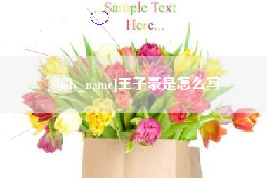 巴音郭楞王子豪是怎么写