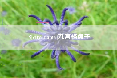 巴音郭楞九宫格盘子