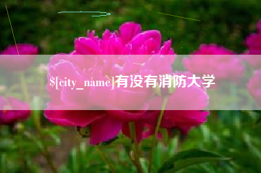 巴音郭楞有没有消防大学