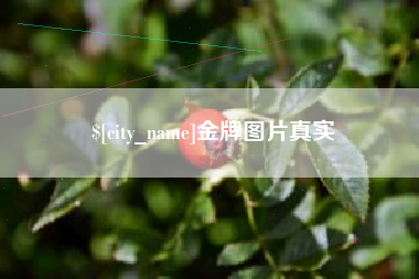 巴音郭楞金牌图片真实