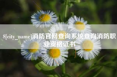 巴音郭楞消防官网查询系统查询消防职业资格证书