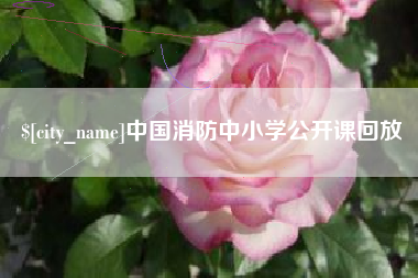 巴音郭楞中国消防中小学公开课回放