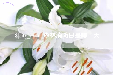 巴音郭楞森林消防日是哪一天