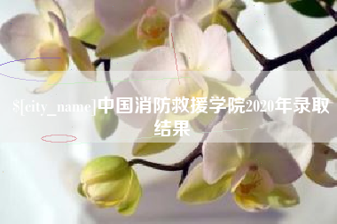 巴音郭楞中国消防救援学院2020年录取结果