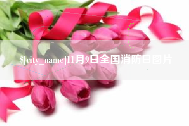 巴音郭楞11月9日全国消防日图片