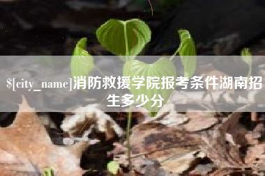 巴音郭楞消防救援学院报考条件湖南招生多少分