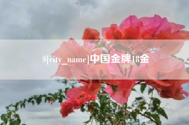 巴音郭楞中国金牌18金