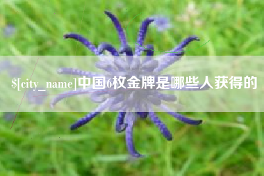 巴音郭楞中国6枚金牌是哪些人获得的