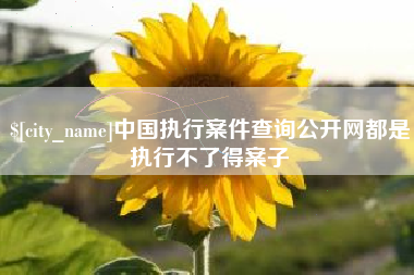 巴音郭楞中国执行案件查询公开网都是执行不了得案子