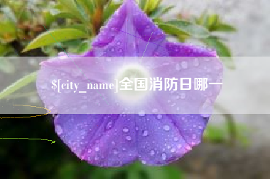 巴音郭楞全国消防日哪一